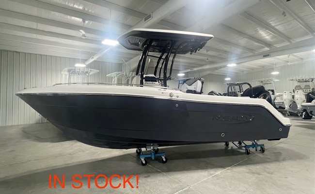 2025 Robalo R222 Explorer Shark Gray